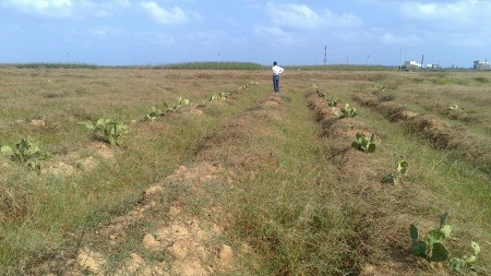 20131017-00004農園現況