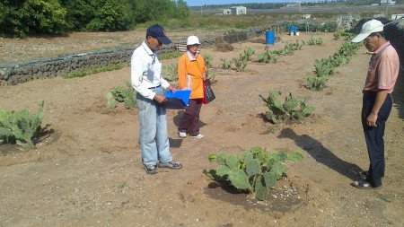 20131018-00001農園訪視